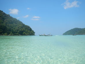 网红素林和妙妙是情侣吗