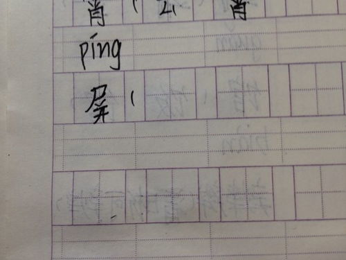 帐组词语有哪些