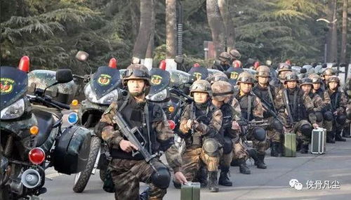 卫戍部队是什么意思