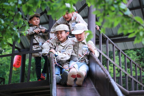 别开生面是什么意思，别开生面是什么生肖