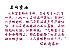 《我的五样》读后感