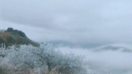 雨凇是怎么形成的?