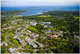 法国的比纳智力测验?名词解释