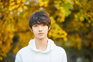 吕绍聪退出演艺圈了吗，吕绍聪万国鹏甄别