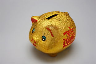 储蓄罐拼音，储蓄罐是什么东西