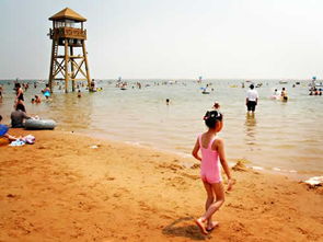 奉贤海滩门票价格，奉贤海滩必去的三个景点