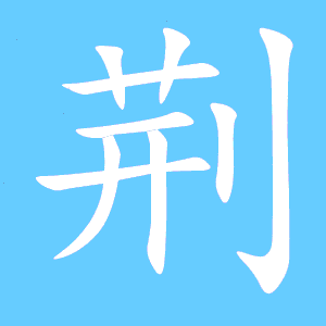 荆可以组什么词语