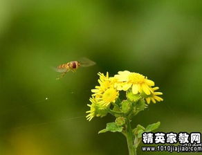 以心里美滋滋的为题写一个作文