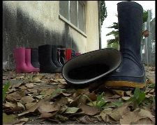 无以为家电影，无以为家翻译