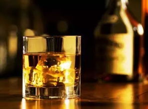 烈酒是什么意思