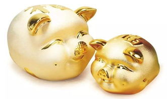 金猪四国和笨猪五国，金猪四国为什么叫金猪