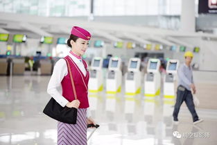 乘务员读音，乘务员招生要求