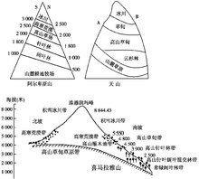 自然带包括哪些，自然带图