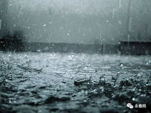 水伯是好人还是坏人，水伯扮演者