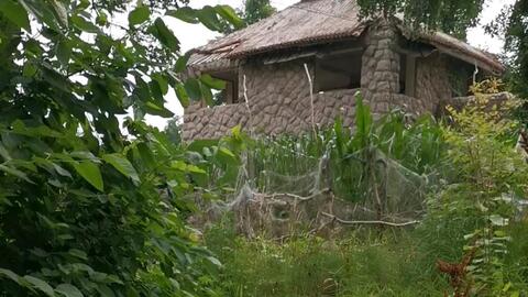 因思杜陵梦下一句