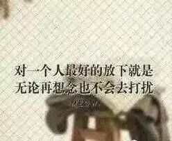 多有打扰 还请见谅意思