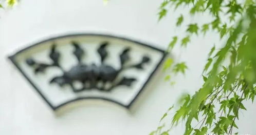 淡漠的意思，淡漠的英文