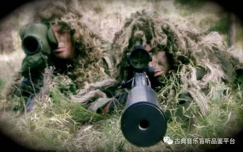 解惑究竟是什么意思