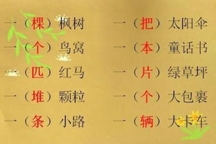 填上恰当的量词,一()池塘