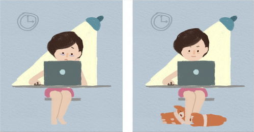 寸步不离解释以及造句?