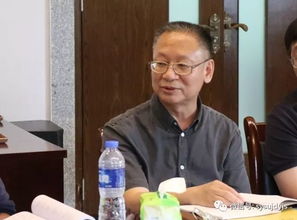 言近旨远的解释