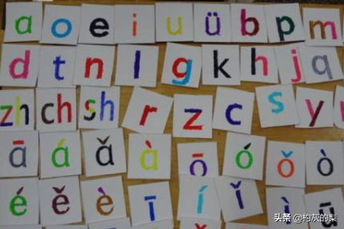 笨的拼音组词和部首