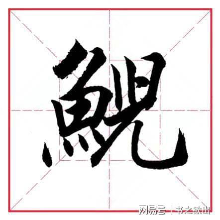 带有鱼字旁的字有哪些?