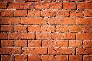 方砖厂69号炸酱面，方砖图片