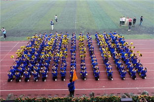 方阵是什么意思