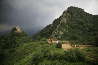 涞水天气预报一周7天一，涞水天气24小时预报