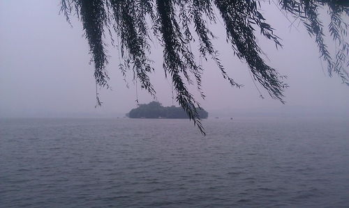 杨柳岸晓风残月上一句是什么，杨柳岸晓风残月意思