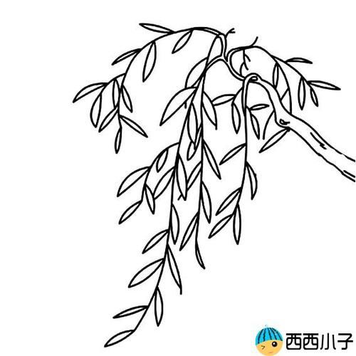 柳条简笔画简单又好看，柳条简笔画图片