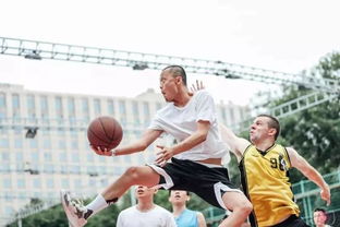 曹芳是谁的儿子?