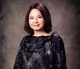 何巧女捐款15亿美元到账了吗