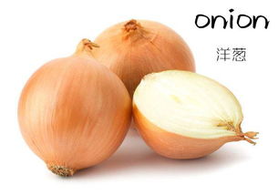 洋葱英语怎么读