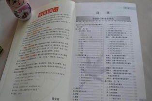 语文基础知识手册薛金星pdf，语文基础知识手册电子版