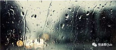 贵州省安顺市关领天气