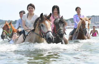西游记第十六回主要内容