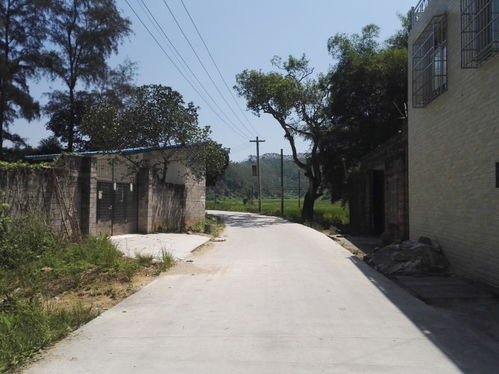 村道限速多少公里，村道路归哪个部门管