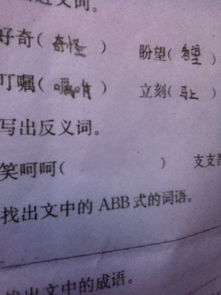 笑反义词是什么