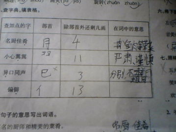 譬的意思是什么，辟谣的意思