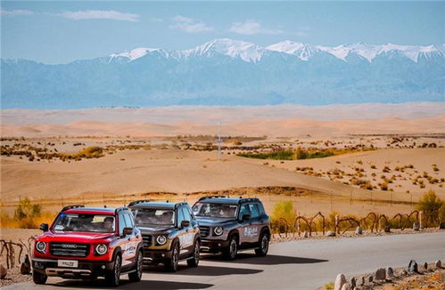 “哈狗邦”这个名字配不上哈弗大狗,老侃给你想几个更好的