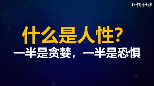 我的财富作文，我的财富作文800字