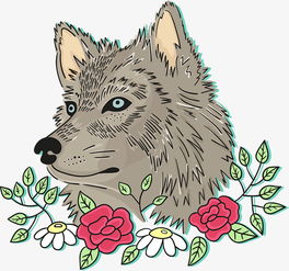 卡通狼的图片，卡通狼头的图片