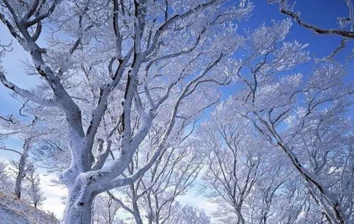 2010年6月29号天气预报