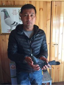 刘春山和秦灿结局