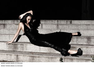 夜会 王菲，夜会美