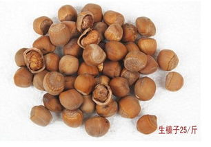 榛子是什么东西啊?