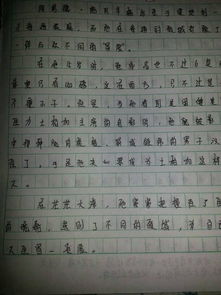 小学作文500字