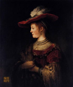 贵妇人是什么意思解释，贵妇人怎么形容